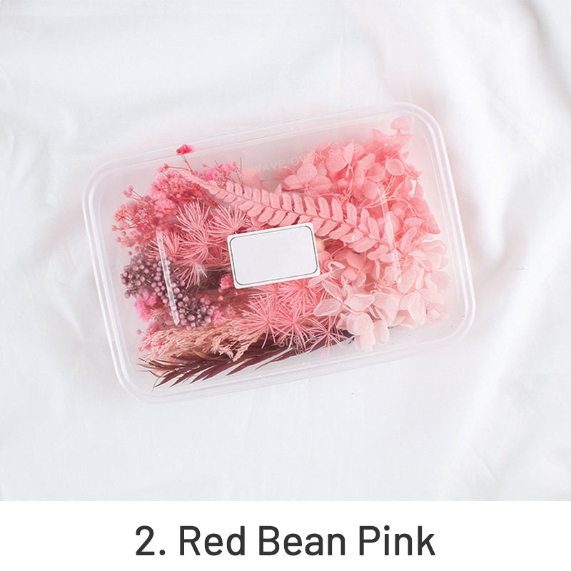 Air-Dried Real Flower Boxed Preserved Floral Material Pack sku-2
