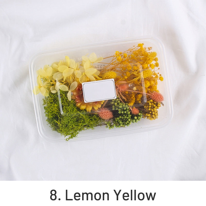 Air-Dried Real Flower Boxed Preserved Floral Material Pack sku-8
