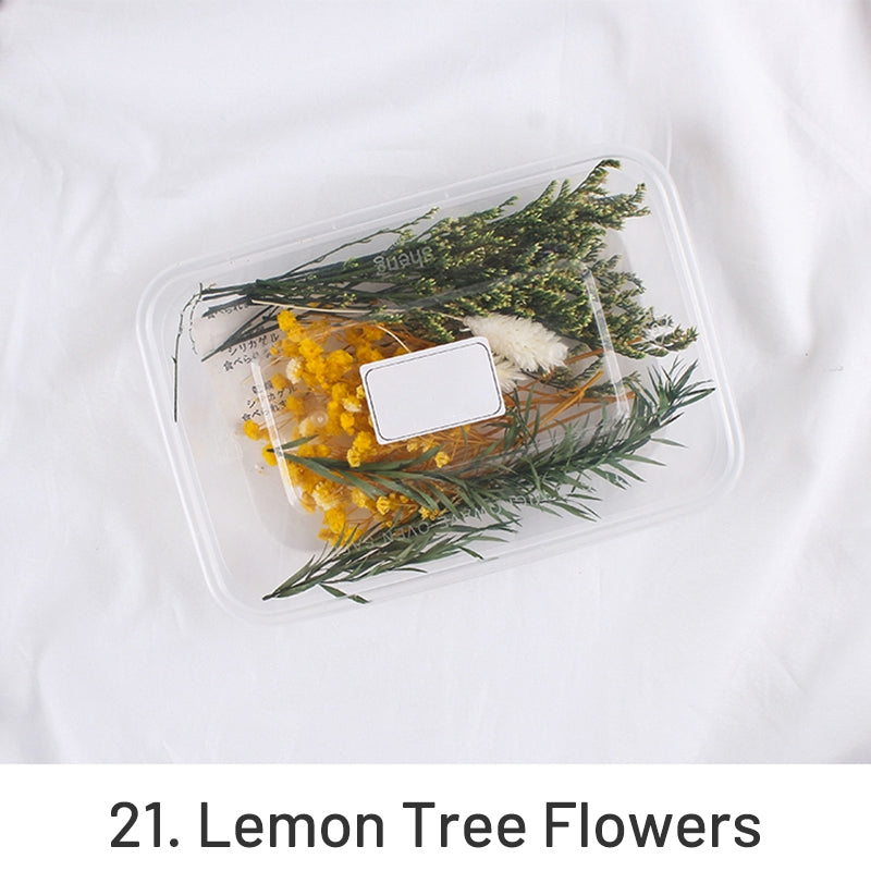 Air-Dried Real Flower Boxed Preserved Floral Material Pack sku-21