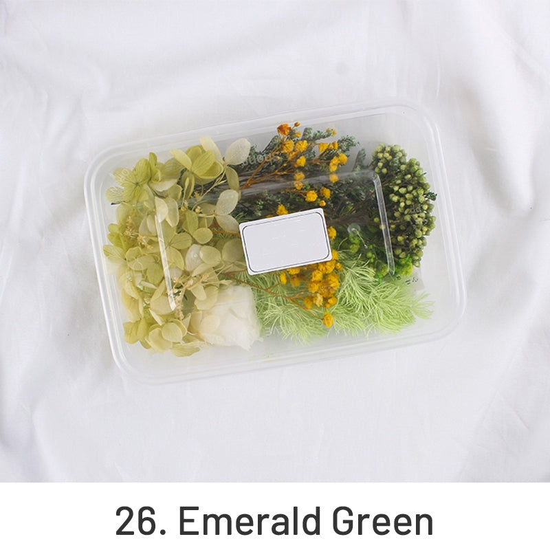Air-Dried Real Flower Boxed Preserved Floral Material Pack sku-26