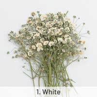 1. White