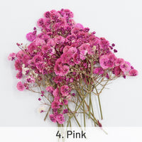 4. Pink