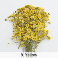 8. Yellow